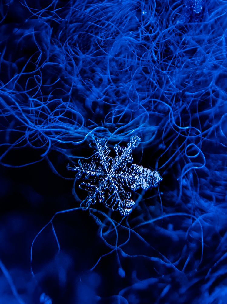 Photograph by Лариса Когтева