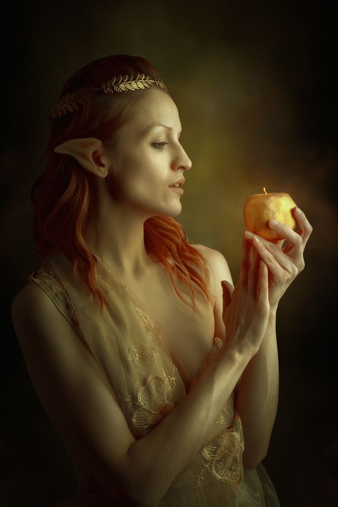 Фотография автора Гришин Николай