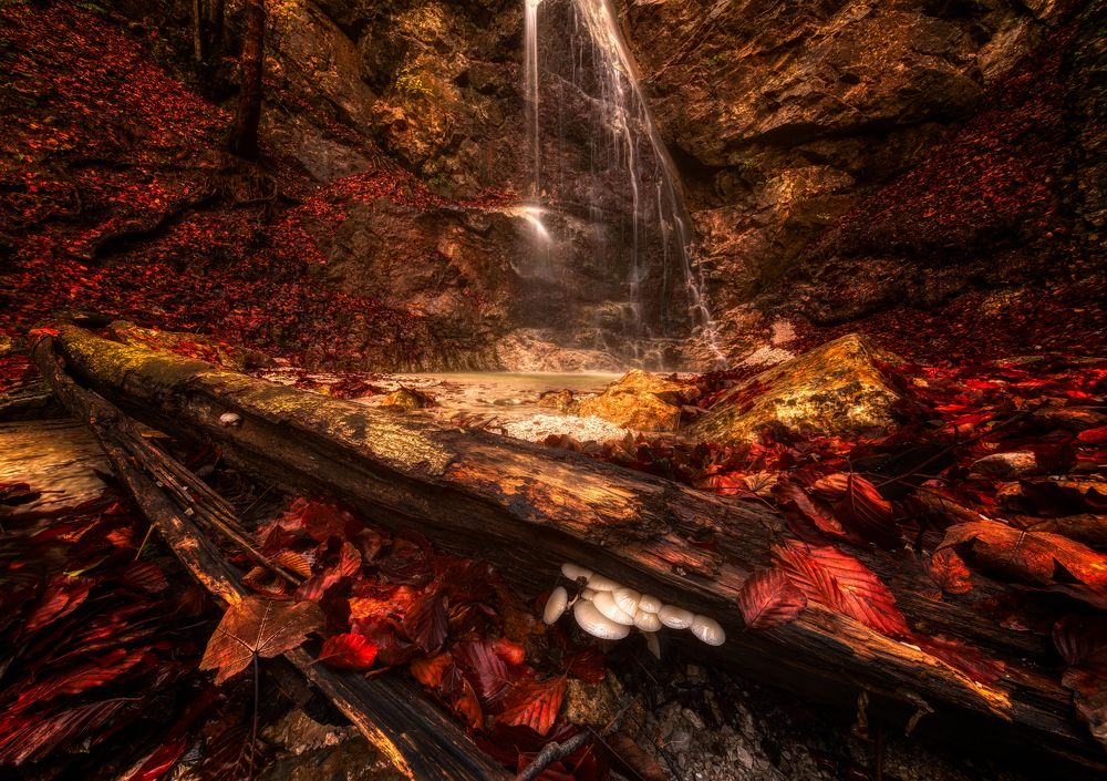 Photograph by Alain Veldin