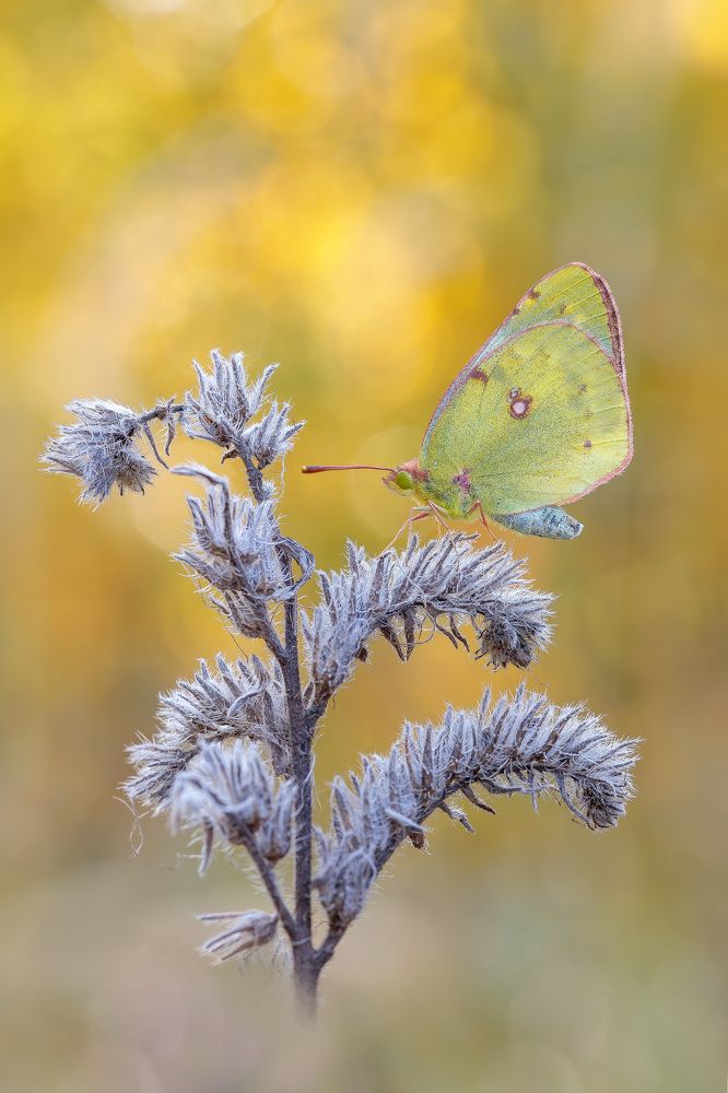 Photograph by Кузнецов Дмитрий