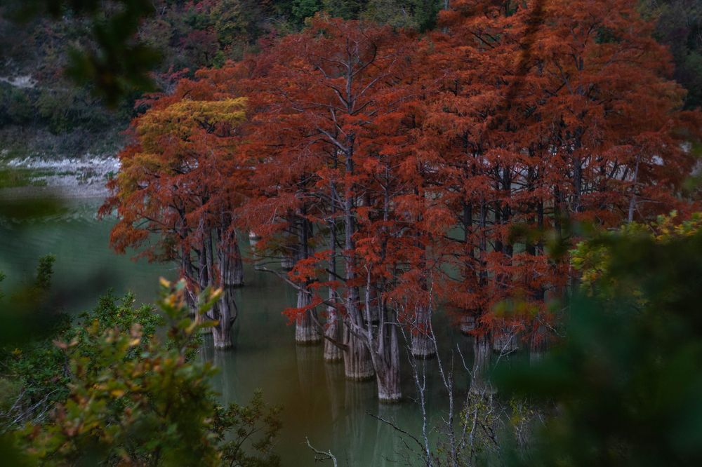 Photograph by Tateshi