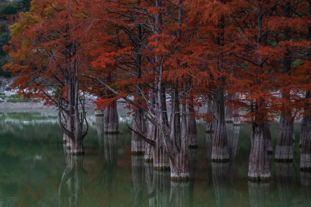 Photograph by Tateshi