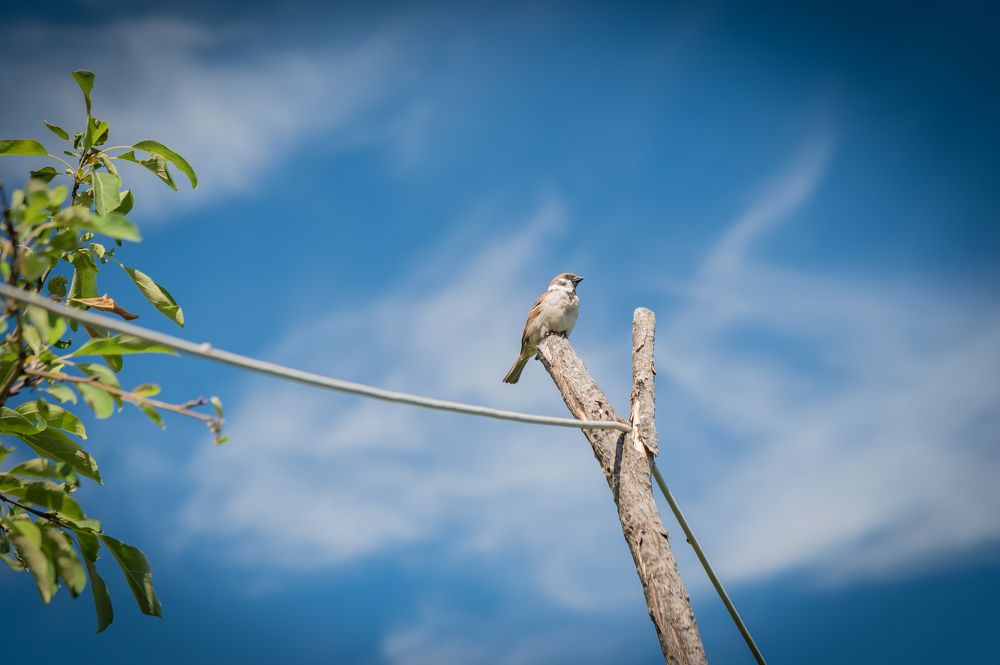 Photograph by Галина Патрушева