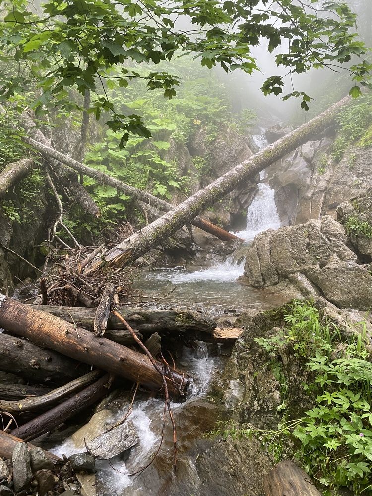 Photograph by Елена Гущина