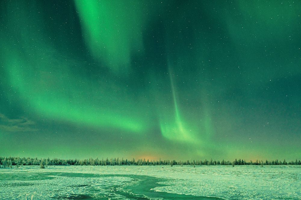 Фотография автора Евгения Шаравар