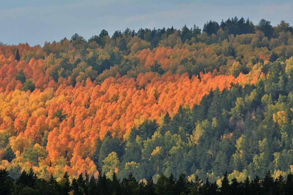 Photograph by Анатолий Каминский