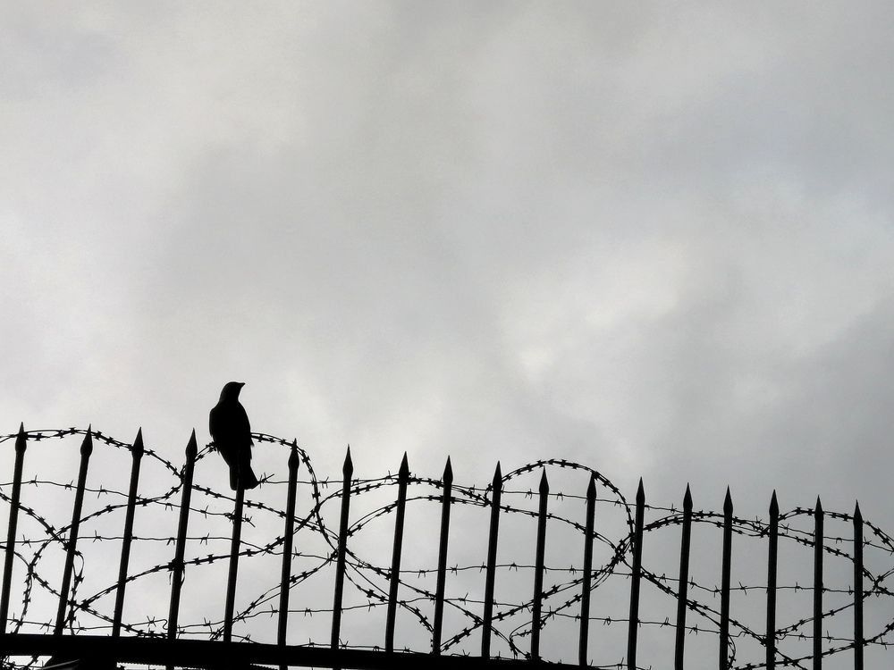 Photograph by Светлана Веселовская