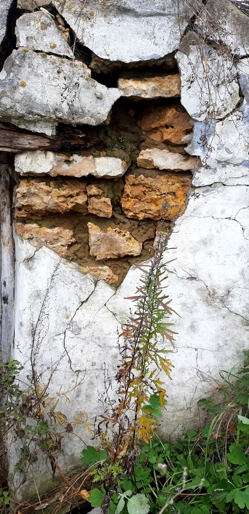 Photograph by Светлана Немонтова