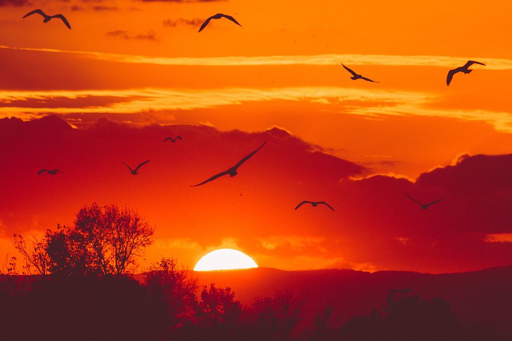 Photograph by Ди Си