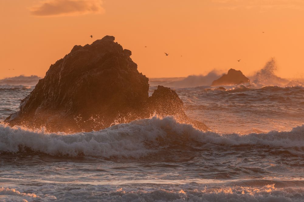 Утро нового дня