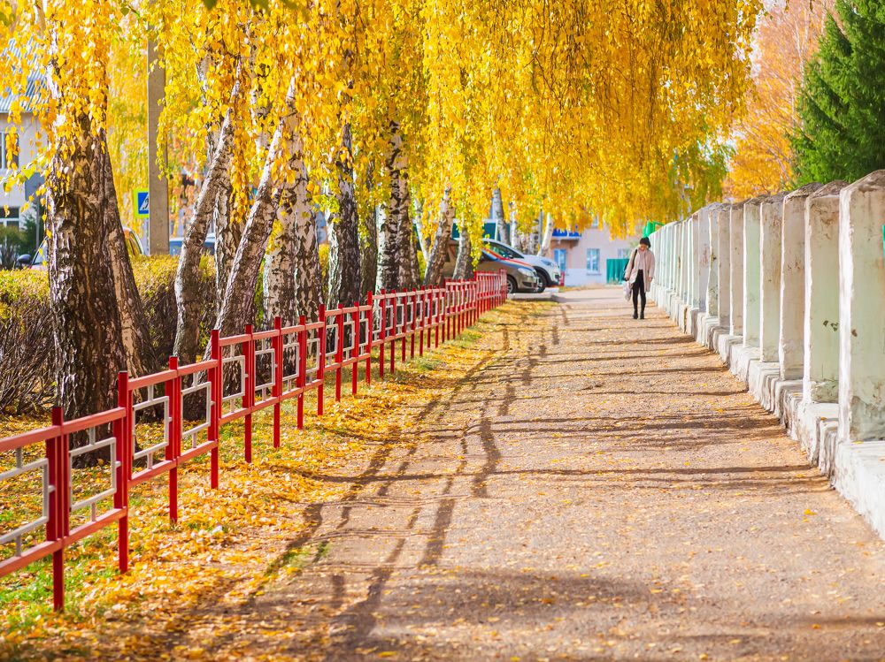 Photograph by Vyacheslav Bashirov