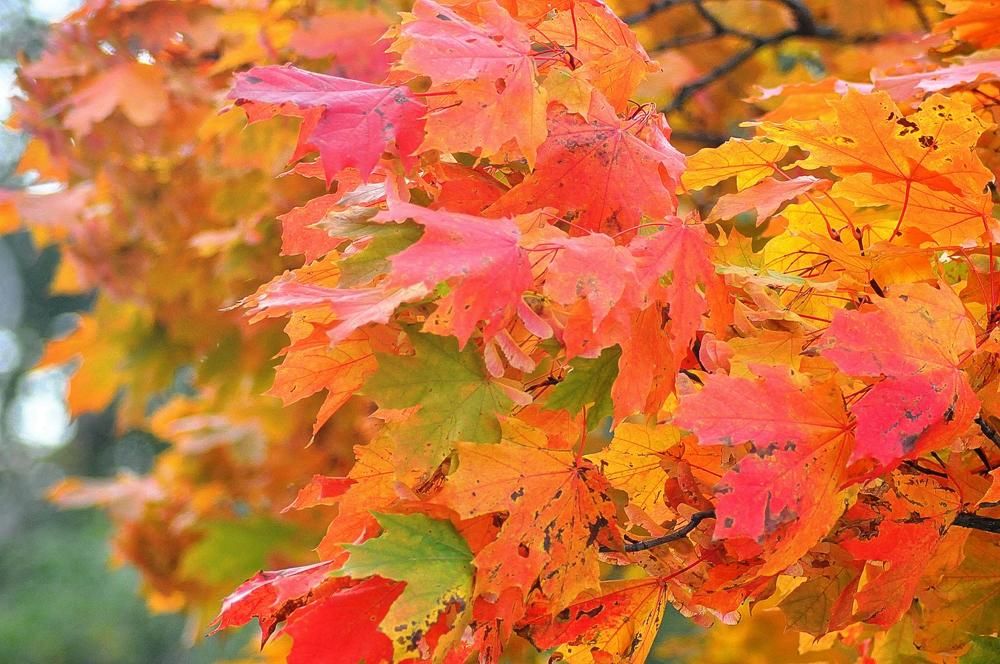 Photograph by Николай Николаевич Леухин