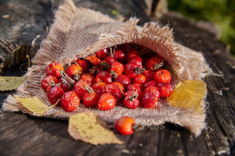 Photograph by Галина Патрушева