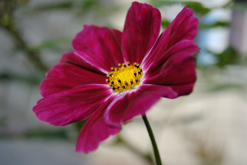 Photograph by Галина Патрушева