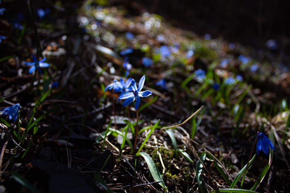 Photograph by Ольга Абрамова