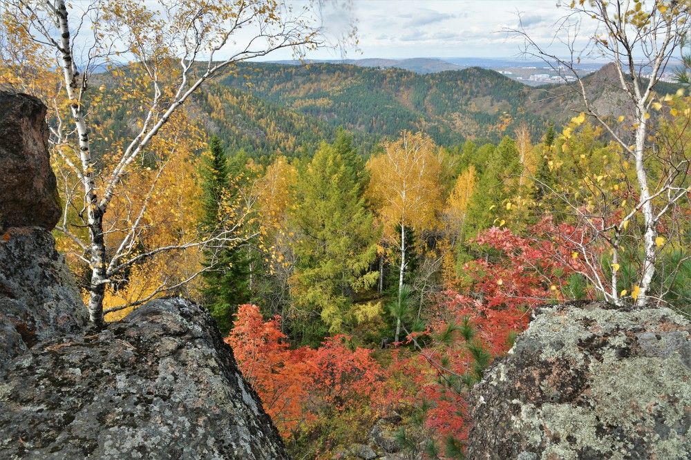 Photograph by Анатолий Каминский