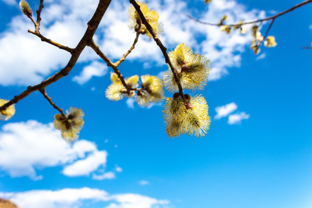 Photograph by Ольга Абрамова