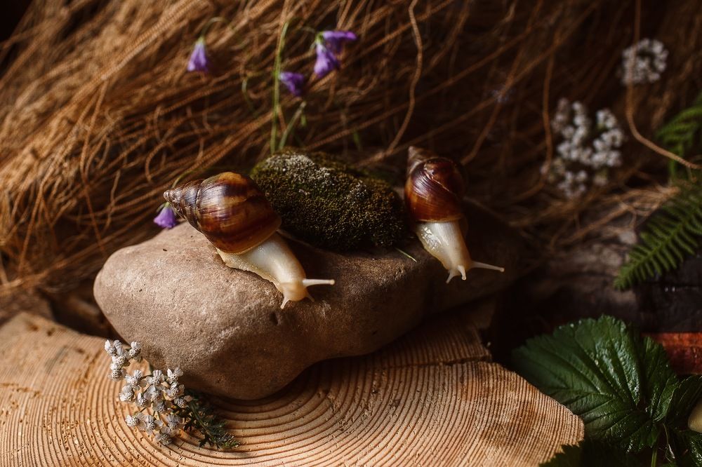 Photograph by Екатерина Гущина