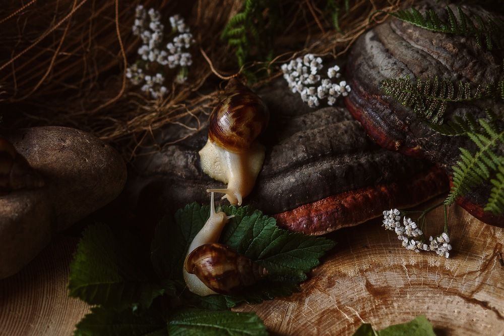 Photograph by Екатерина Гущина