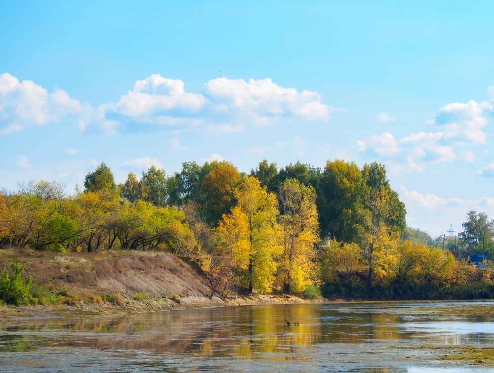 Photograph by Vyacheslav Bashirov