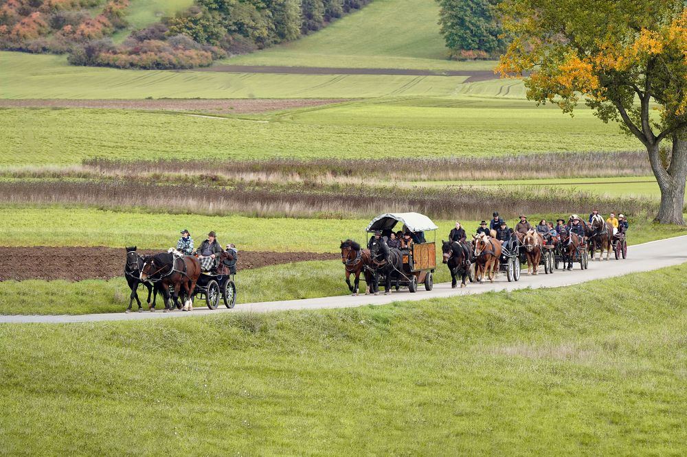 Фотография автора Владимир Осадчиев