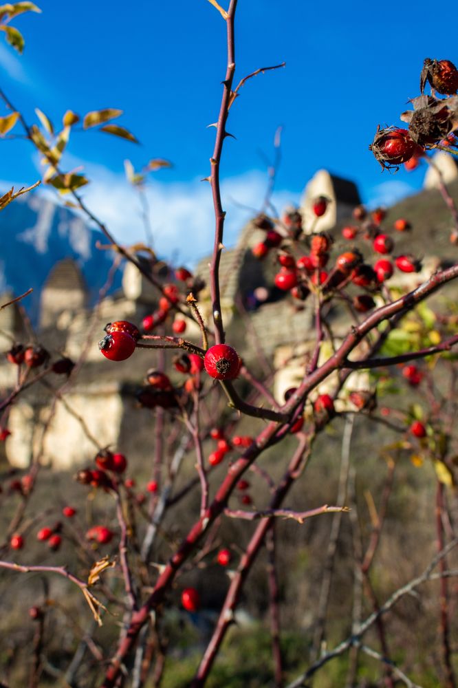 Photograph by Ольга Абрамова