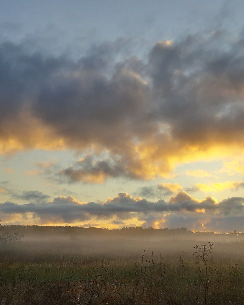 Photograph by Светлана Немонтова