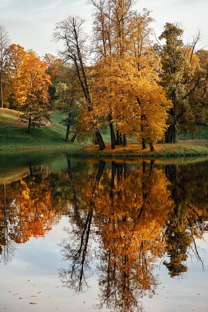 Фотография автора Воробьёва Анна