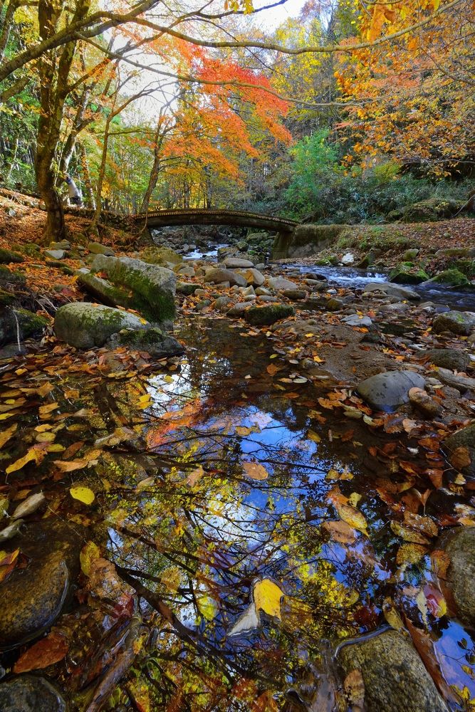 Photograph by Ohta Sigeki