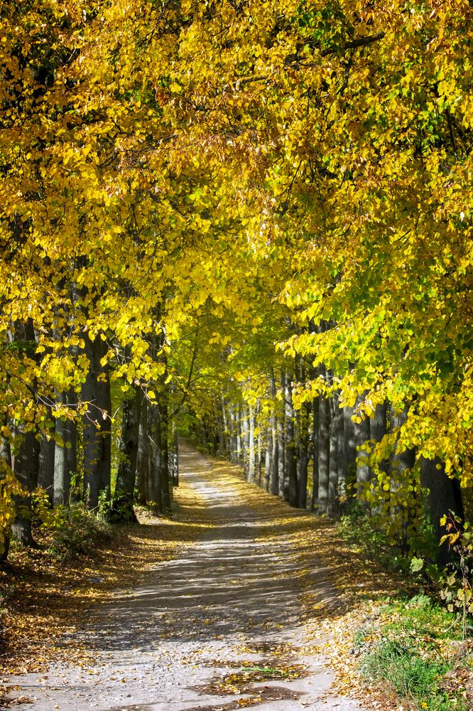 Photograph by Сергей Феофанов