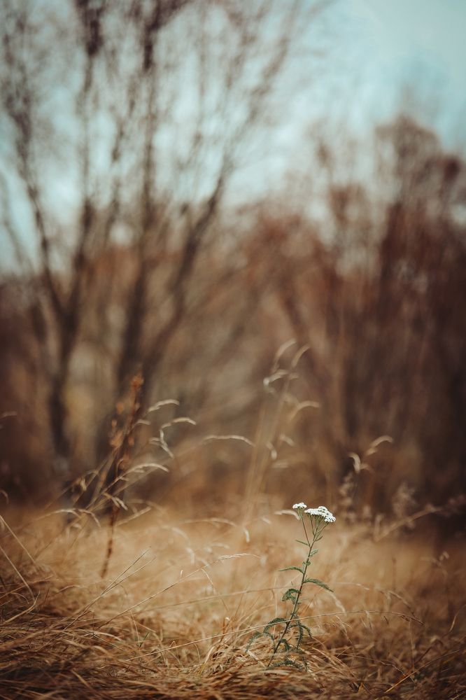 Photograph by Светлана Солдатченкова