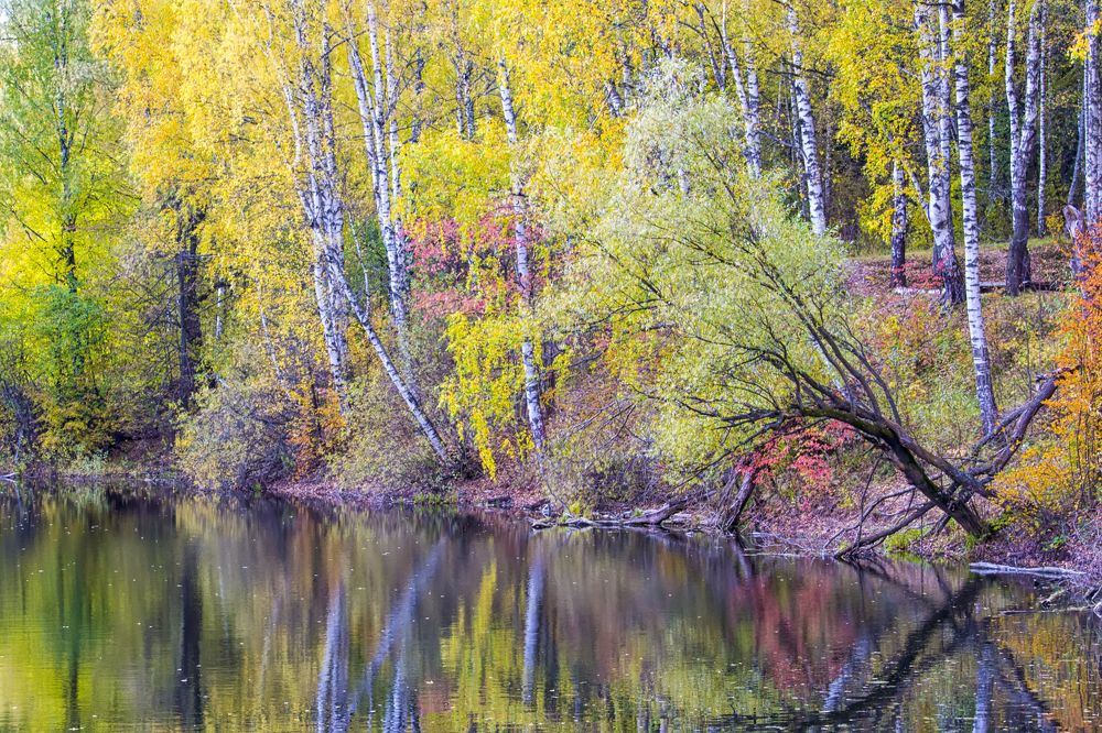 Photograph by Сергей Феофанов