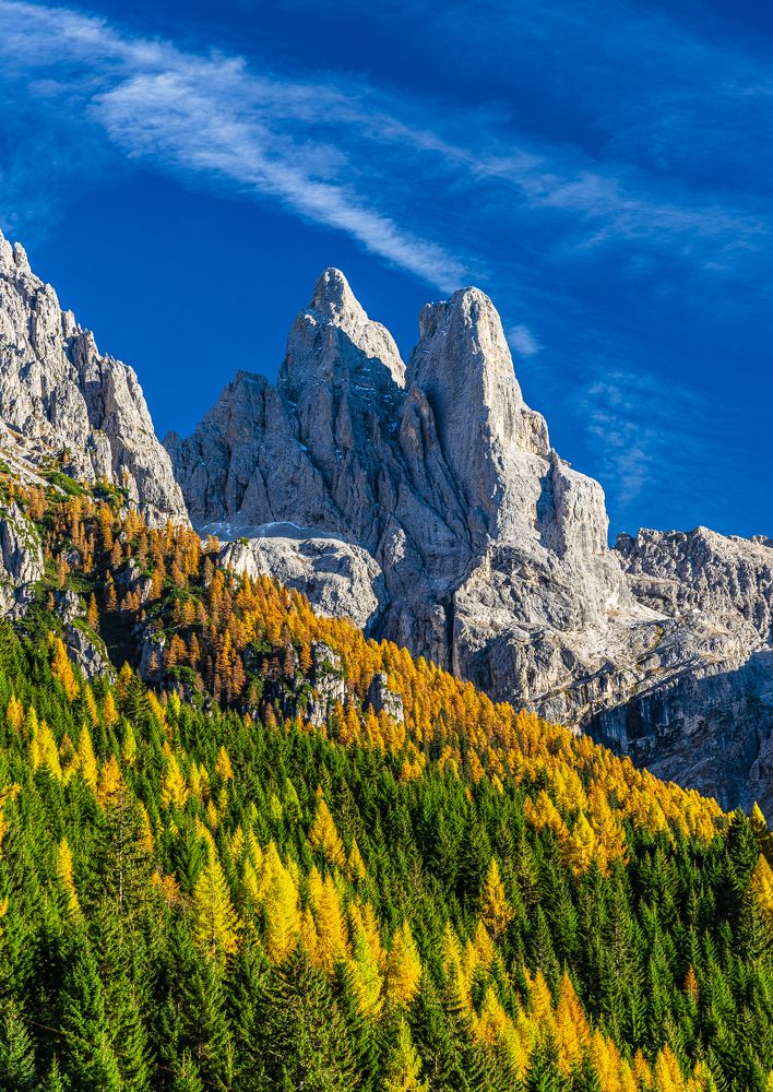 Фотография автора Paolo Barbarini