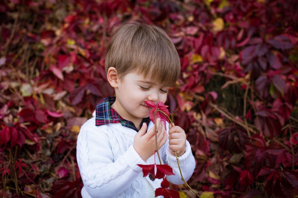 Photograph by Алена Печерица