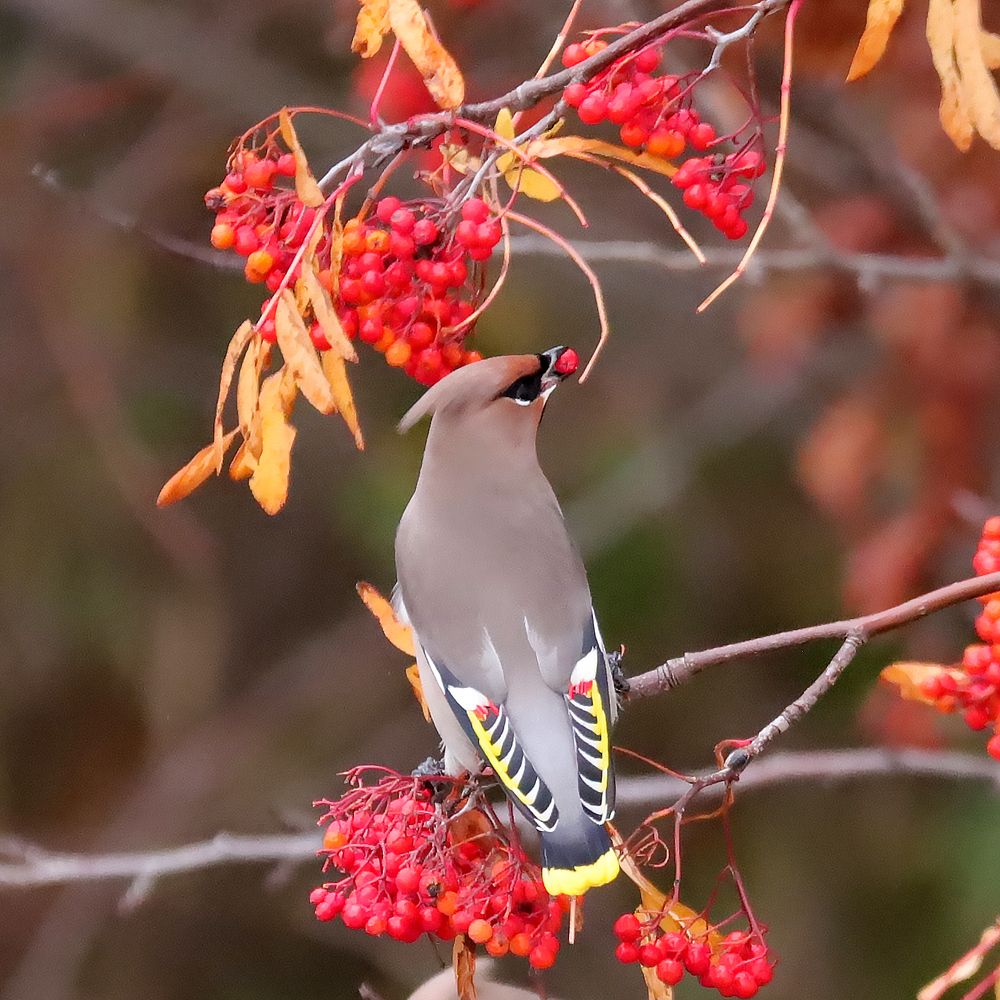 Photograph by Алексей