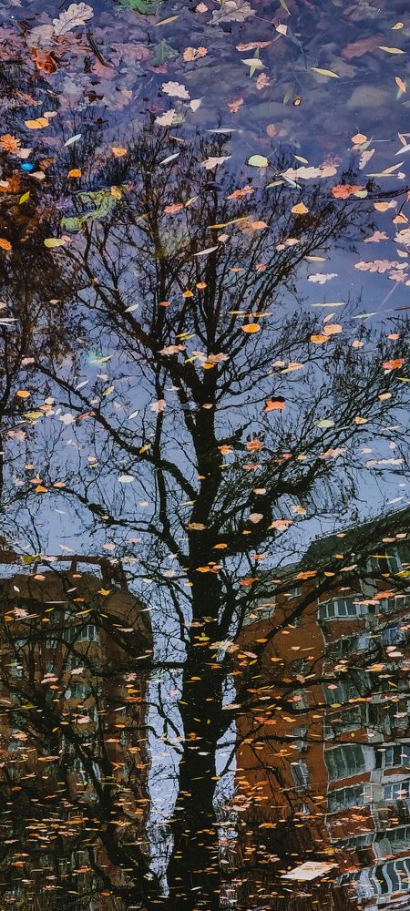 Photograph by Елена Никовырина