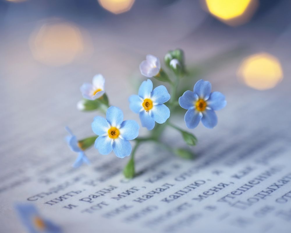 Photograph by Юлия Микульская