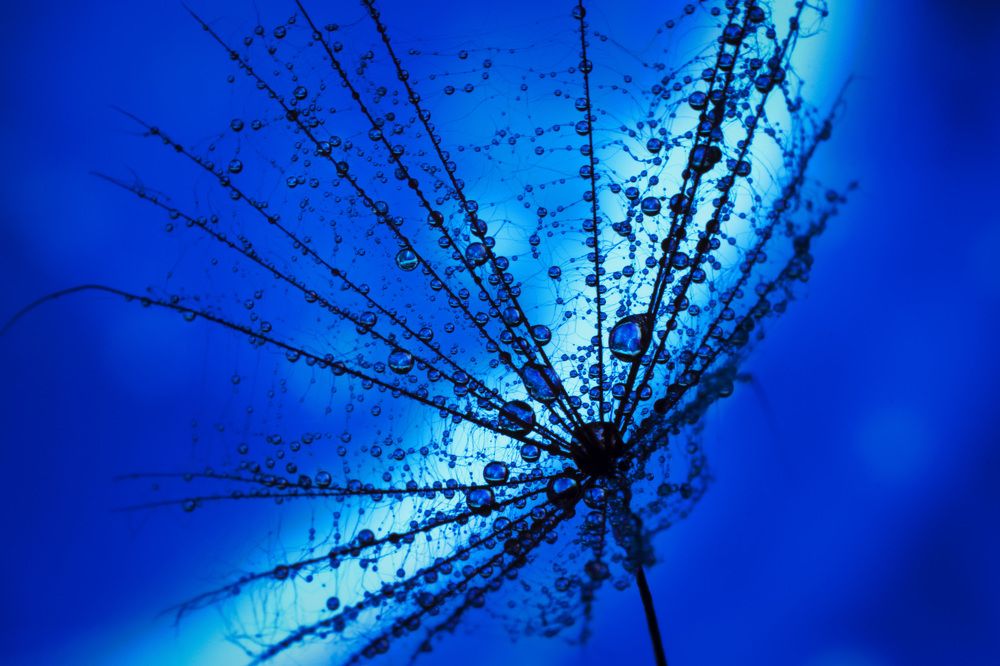 Photograph by Юлия Микульская