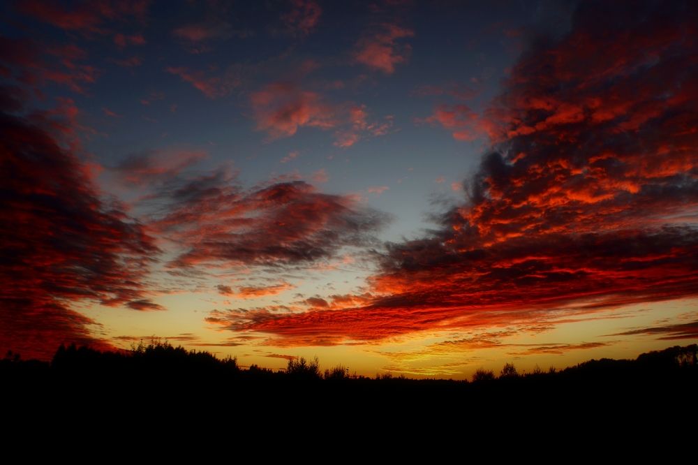 Photograph by Колоскова Мария