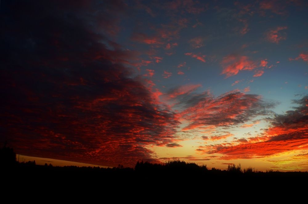 Photograph by Колоскова Мария