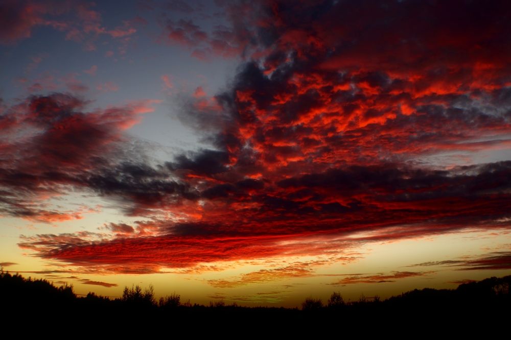 Photograph by Колоскова Мария