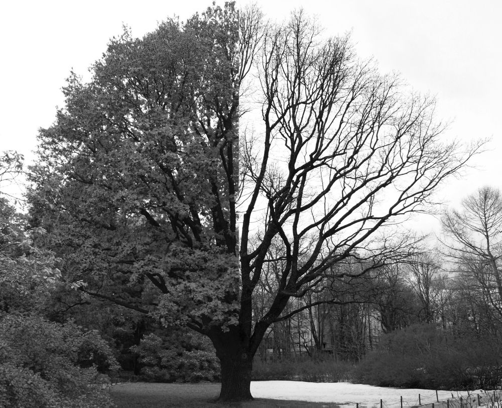 Два времени года.