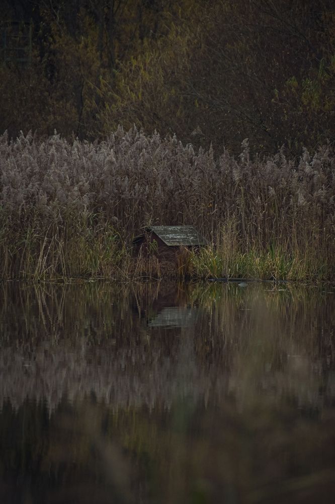 Photograph by Светлана Игнатьева