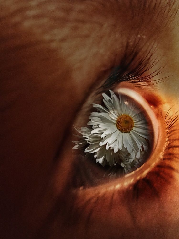 Photograph by Евгения Акишева