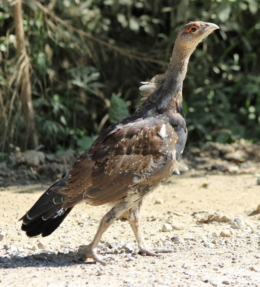 Photograph by Анна Букреева