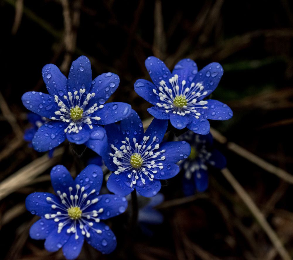 Photograph by Наталья