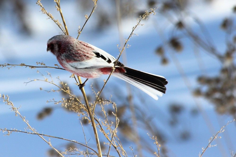 Photograph by Анна Букреева