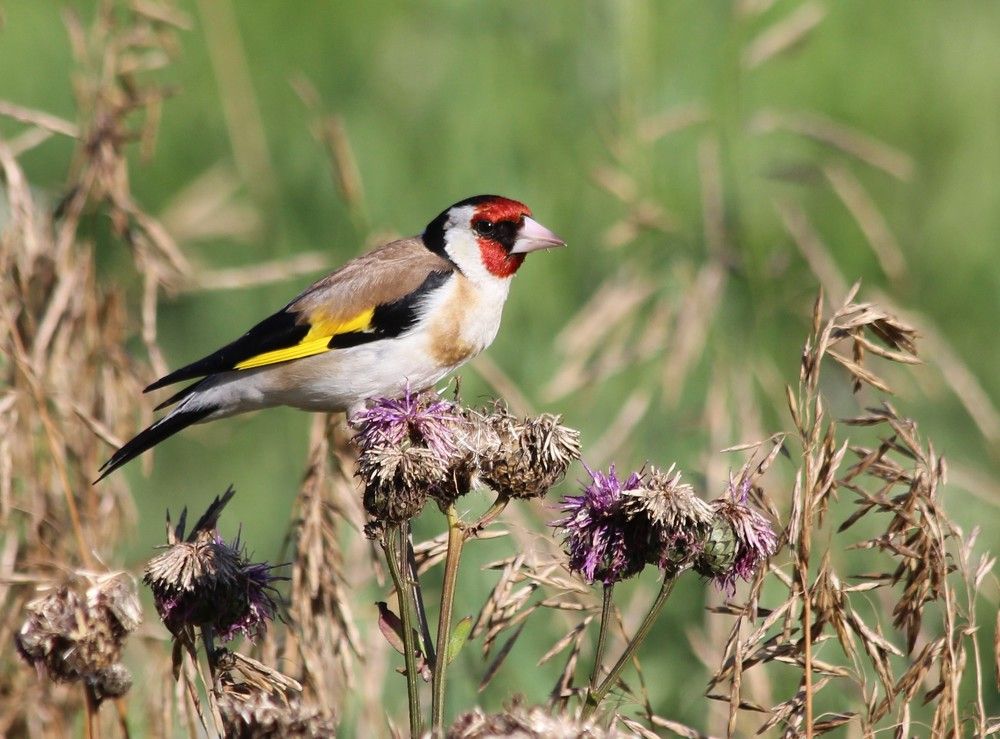 Photograph by Анна Букреева