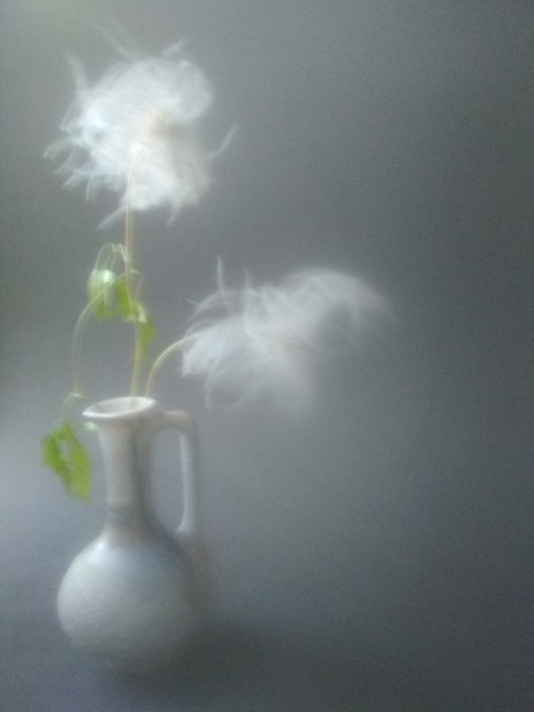 Photograph by Вета Юн