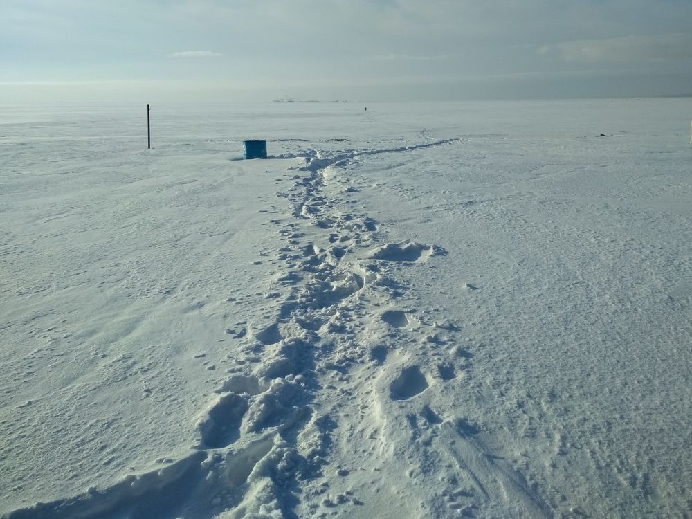 Photograph by Вета Юн